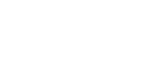 PicFlips
